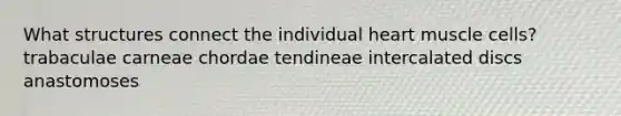 What structures connect the individual heart muscle cells? trabaculae carneae chordae tendineae intercalated discs anastomoses