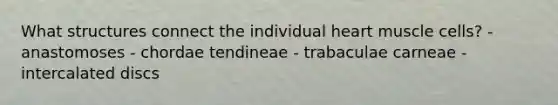 What structures connect the individual heart muscle cells? - anastomoses - chordae tendineae - trabaculae carneae - intercalated discs