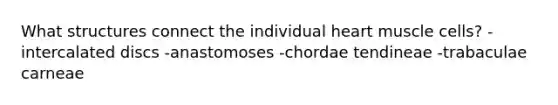 What structures connect the individual heart muscle cells? -intercalated discs -anastomoses -chordae tendineae -trabaculae carneae