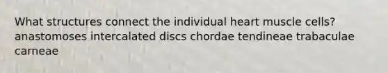 What structures connect the individual heart muscle cells? anastomoses intercalated discs chordae tendineae trabaculae carneae