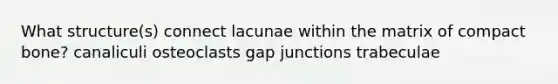 What structure(s) connect lacunae within the matrix of compact bone? canaliculi osteoclasts gap junctions trabeculae