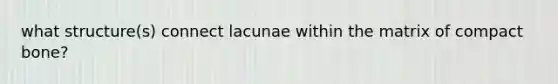 what structure(s) connect lacunae within the matrix of compact bone?