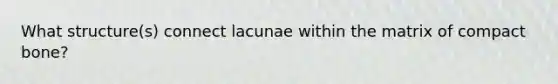 What structure(s) connect lacunae within the matrix of compact bone?
