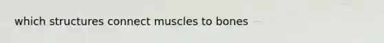 which structures connect muscles to bones