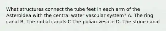 What structures connect the tube feet in each arm of the Asteroidea with the central water vascular system? A. The ring canal B. The radial canals C The polian vesicle D. The stone canal