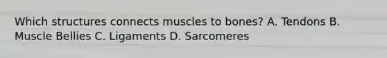 Which structures connects muscles to bones? A. Tendons B. Muscle Bellies C. Ligaments D. Sarcomeres