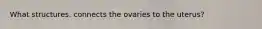 What structures. connects the ovaries to the uterus?
