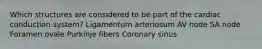 Which structures are considered to be part of the cardiac conduction system? Ligamentum arteriosum AV node SA node Foramen ovale Purkinje fibers Coronary sinus