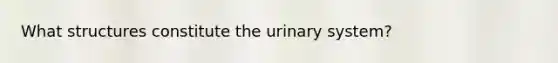 What structures constitute the urinary system?