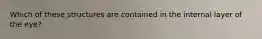 Which of these structures are contained in the internal layer of the eye?