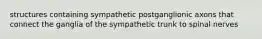structures containing sympathetic postganglionic axons that connect the ganglia of the sympathetic trunk to spinal nerves