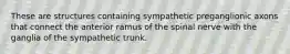 These are structures containing sympathetic preganglionic axons that connect the anterior ramus of the spinal nerve with the ganglia of the sympathetic trunk.