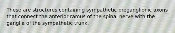 These are structures containing sympathetic preganglionic axons that connect the anterior ramus of the spinal nerve with the ganglia of the sympathetic trunk.