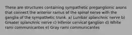 These are structures containing sympathetic preganglionic axons that connect the anterior ramus of the spinal nerve with the ganglia of the sympathetic trunk. a) Lumbar splanchnic nerve b) Greater splanchnic nerve c) Inferior cervical ganglion d) White rami communicantes e) Gray rami communicantes