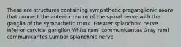 These are structures containing sympathetic preganglionic axons that connect the anterior ramus of the spinal nerve with the ganglia of the sympathetic trunk. Greater splanchnic nerve Inferior cervical ganglion White rami communicantes Gray rami communicantes Lumbar splanchnic nerve