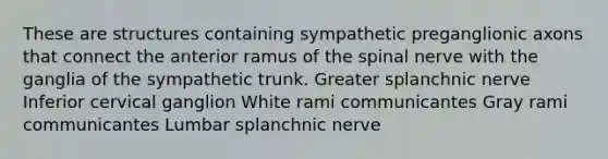 These are structures containing sympathetic preganglionic axons that connect the anterior ramus of the spinal nerve with the ganglia of the sympathetic trunk. Greater splanchnic nerve Inferior cervical ganglion White rami communicantes Gray rami communicantes Lumbar splanchnic nerve