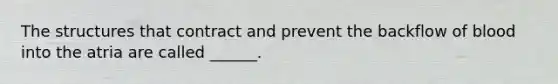 The structures that contract and prevent the backflow of blood into the atria are called ______.