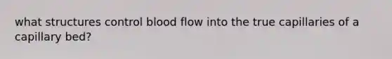 what structures control blood flow into the true capillaries of a capillary bed?