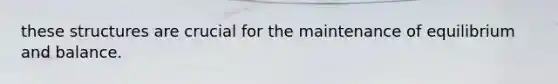 these structures are crucial for the maintenance of equilibrium and balance.