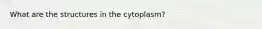 What are the structures in the cytoplasm?