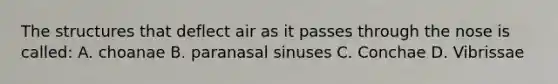 The structures that deflect air as it passes through the nose is called: A. choanae B. paranasal sinuses C. Conchae D. Vibrissae