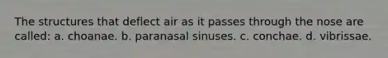 The structures that deflect air as it passes through the nose are called: a. choanae. b. paranasal sinuses. c. conchae. d. vibrissae.