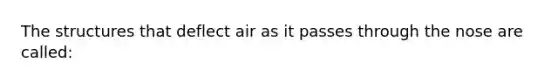 The structures that deflect air as it passes through the nose are called: