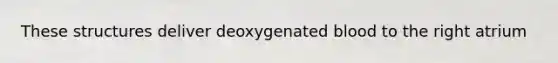 These structures deliver deoxygenated blood to the right atrium