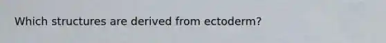 Which structures are derived from ectoderm?