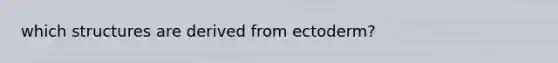 which structures are derived from ectoderm?