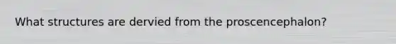 What structures are dervied from the proscencephalon?