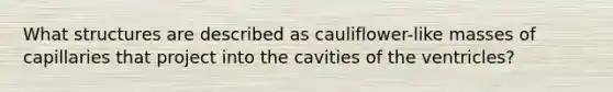 What structures are described as cauliflower-like masses of capillaries that project into the cavities of the ventricles?