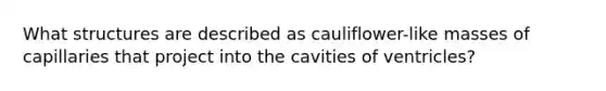 What structures are described as cauliflower-like masses of capillaries that project into the cavities of ventricles?