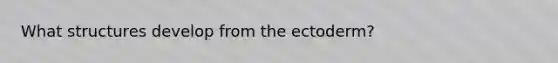 What structures develop from the ectoderm?