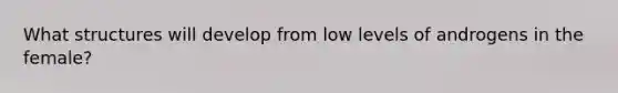 What structures will develop from low levels of androgens in the female?