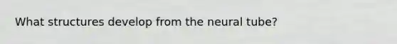 What structures develop from the neural tube?
