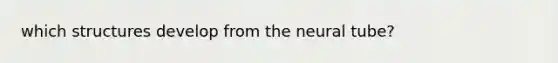 which structures develop from the neural tube?
