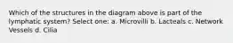 Which of the structures in the diagram above is part of the lymphatic system? Select one: a. Microvilli b. Lacteals c. Network Vessels d. Cilia