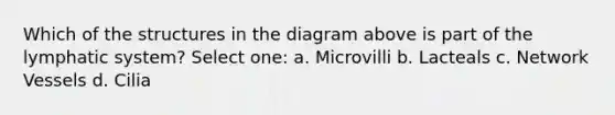 Which of the structures in the diagram above is part of the lymphatic system? Select one: a. Microvilli b. Lacteals c. Network Vessels d. Cilia