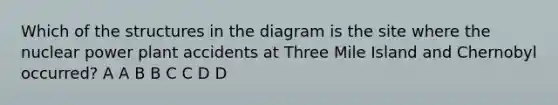 Which of the structures in the diagram is the site where the nuclear power plant accidents at Three Mile Island and Chernobyl occurred? A A B B C C D D