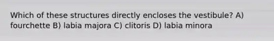 Which of these structures directly encloses the vestibule? A) fourchette B) labia majora C) clitoris D) labia minora