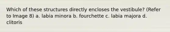 Which of these structures directly encloses the vestibule? (Refer to Image 8) a. labia minora b. fourchette c. labia majora d. clitoris