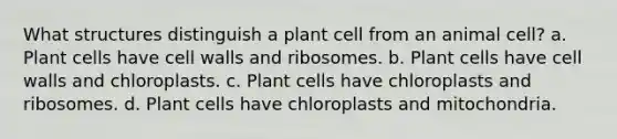 What structures distinguish a plant cell from an animal cell? a. Plant cells have cell walls and ribosomes. b. Plant cells have cell walls and chloroplasts. c. Plant cells have chloroplasts and ribosomes. d. Plant cells have chloroplasts and mitochondria.