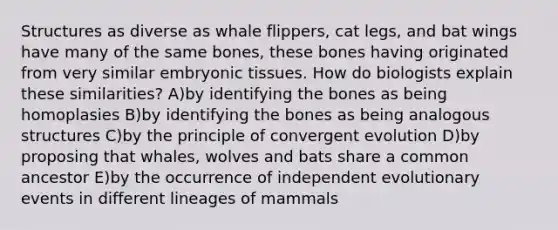 Structures as diverse as whale flippers, cat legs, and bat wings have many of the same bones, these bones having originated from very similar embryonic tissues. How do biologists explain these similarities? A)by identifying the bones as being homoplasies B)by identifying the bones as being analogous structures C)by the principle of convergent evolution D)by proposing that whales, wolves and bats share a common ancestor E)by the occurrence of independent evolutionary events in different lineages of mammals