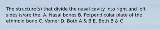 The structure(s) that divide the nasal cavity into right and left sides is/are the: A. Nasal bones B. Perpendicular plate of the ethmoid bone C. Vomer D. Both A & B E. Both B & C