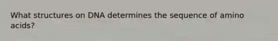 What structures on DNA determines the sequence of amino acids?