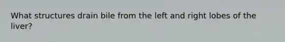 What structures drain bile from the left and right lobes of the liver?