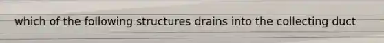 which of the following structures drains into the collecting duct