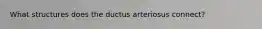 What structures does the ductus arteriosus connect?