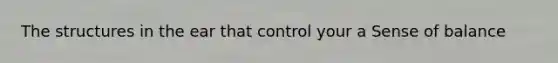 The structures in the ear that control your a Sense of balance